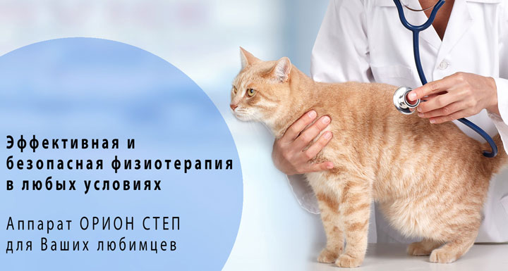 veterinaria.jpg